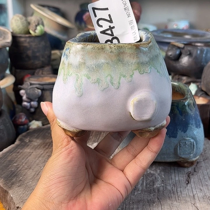 重庆小燕子欢迎大家427