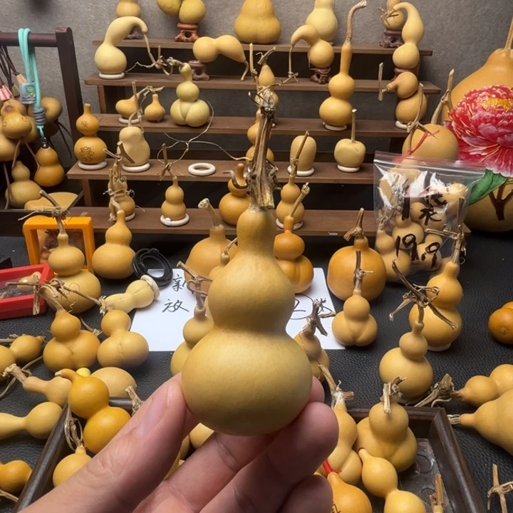 小***~哈哈哈哈哈哈哈哈哈哈哈