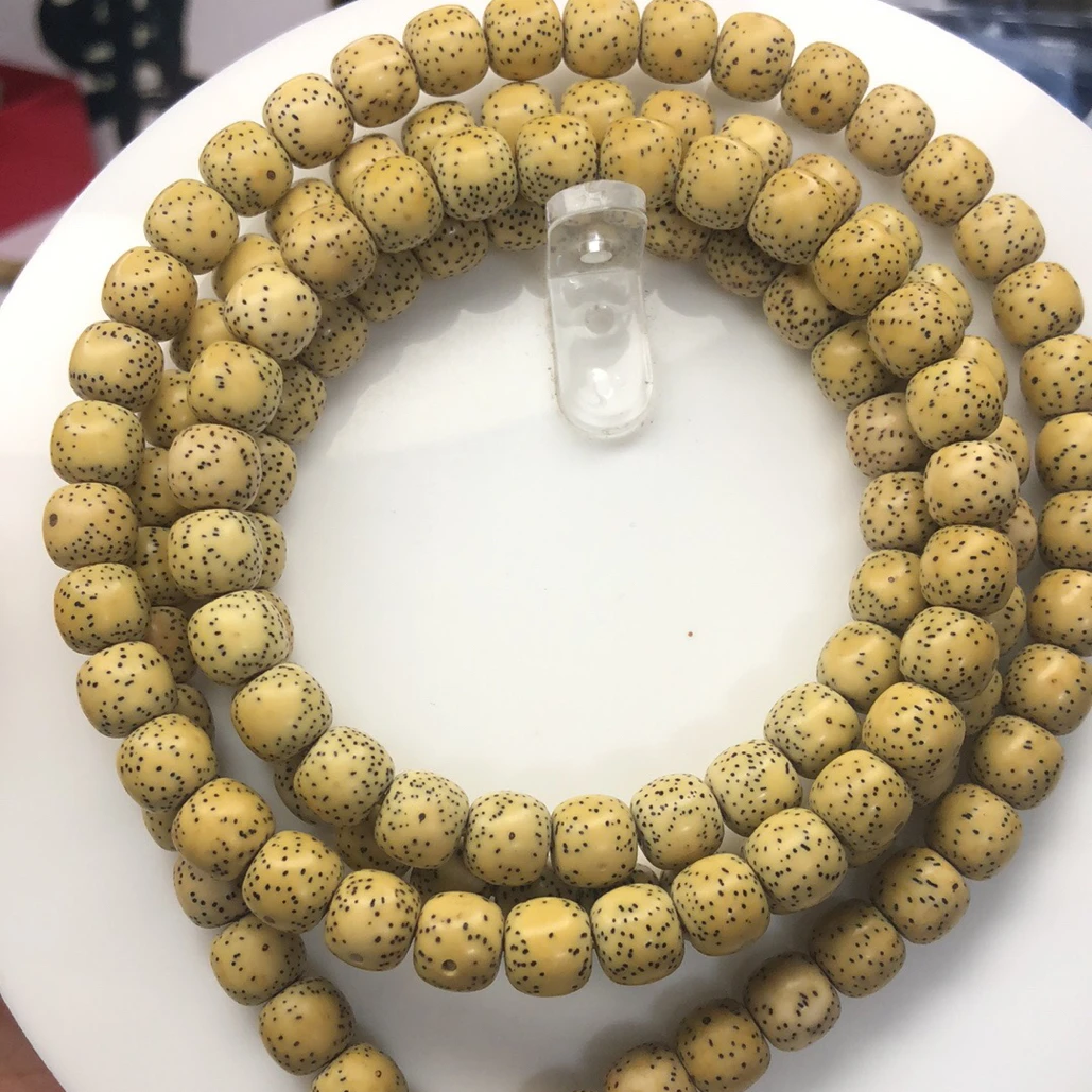 9/8海南星月菩提原生态小细星