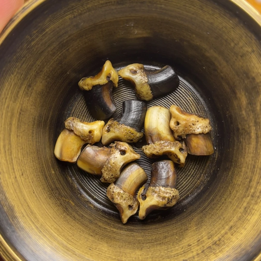 哈哈哈哈哈哈哈哈哈哈