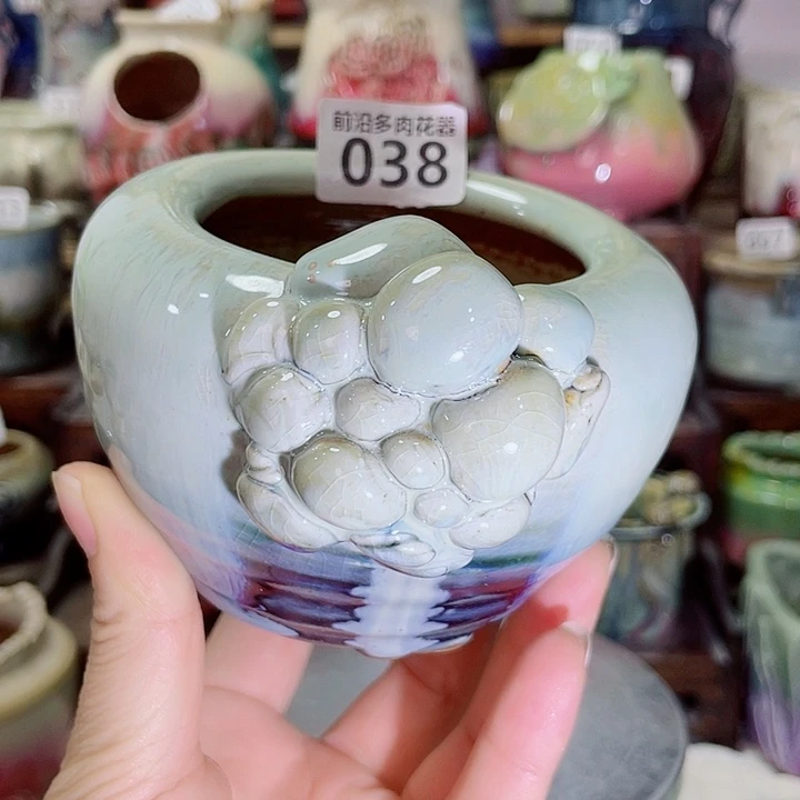 狼盆内口径7高度7