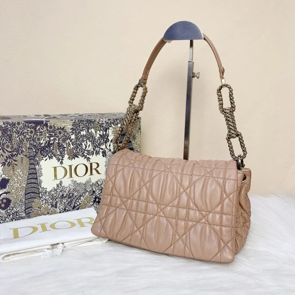 95新/迪奥/妃鱼/单肩包/市场价16900/250209LT0021