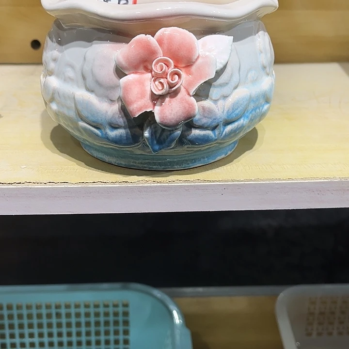 瓷片花盆多肉植物艺术品