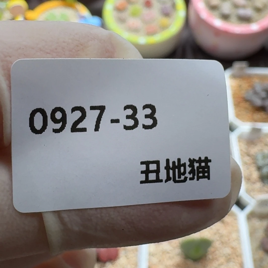 莹***0927-033卷卷卷卷卷j