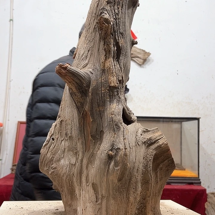 柏木古**香我们的生活也是