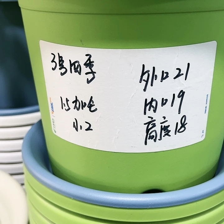 特价3号四季口21高18白色10个无托