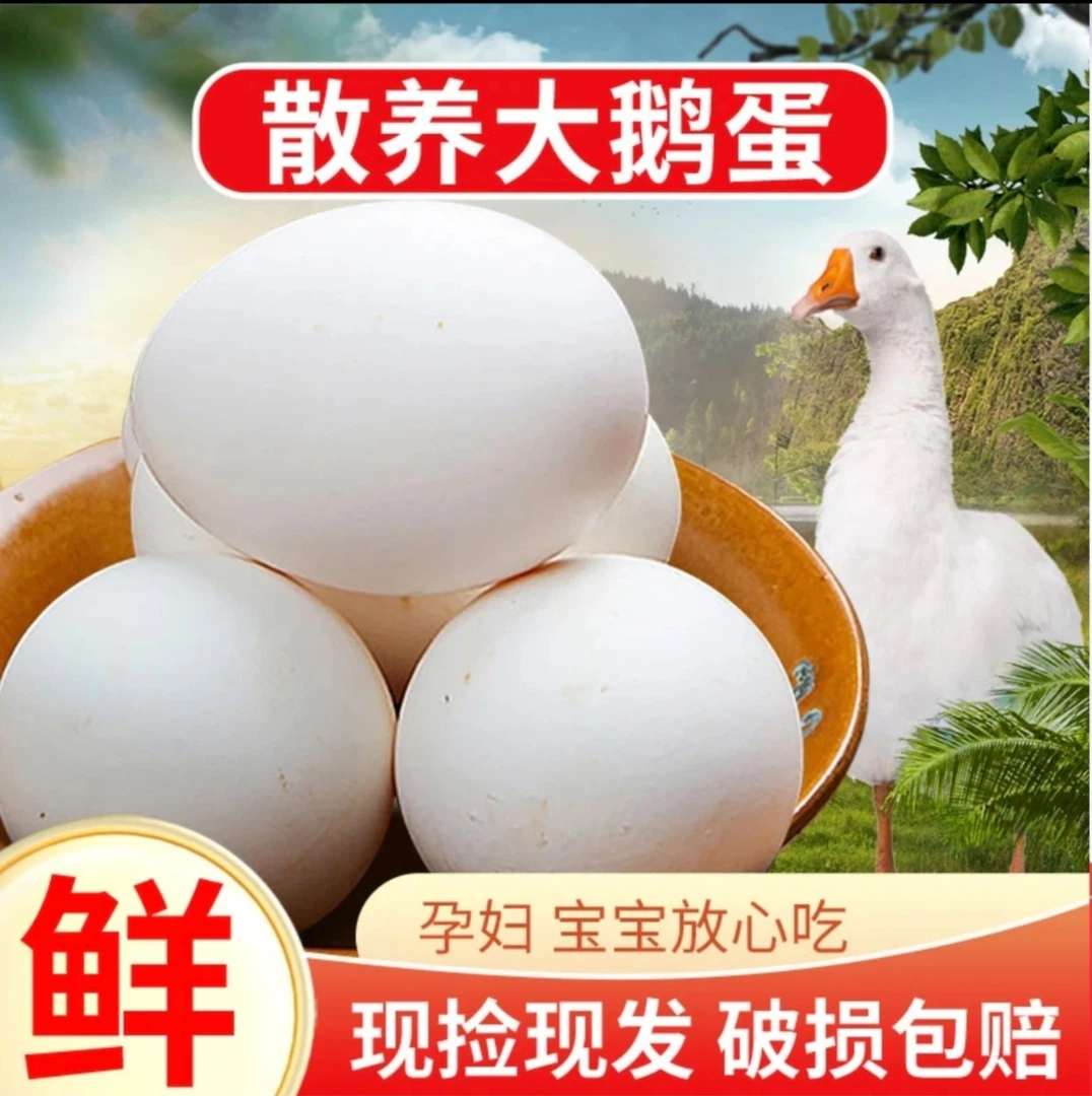 【特惠买10枚送10枚】农家散养土鹅蛋新鲜大鹅蛋现捡现发