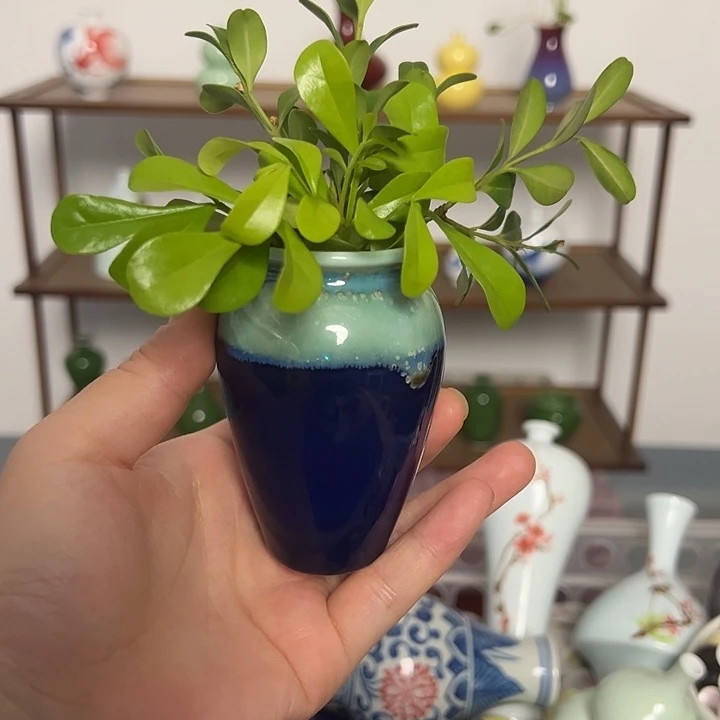 瓷片景德镇陶瓷研究所学会