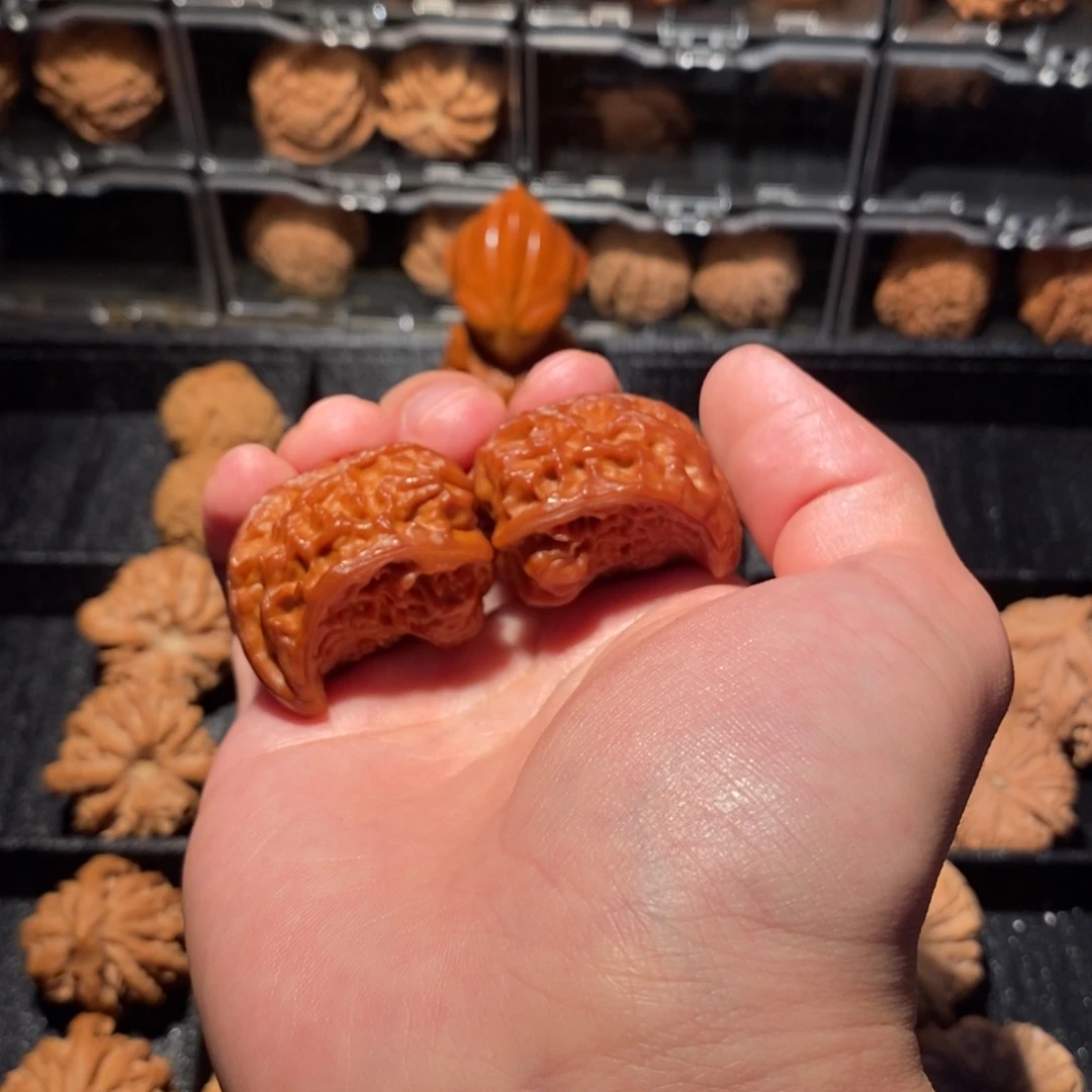 M***M大叶紫檀（黑酸枝木类）