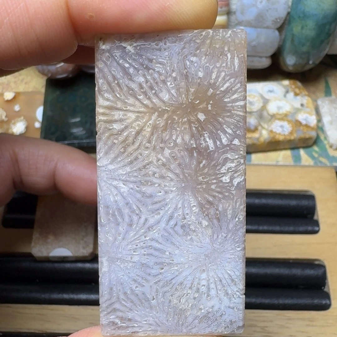 硅化玉紫 霸王花 蝴蝶纹未镶嵌