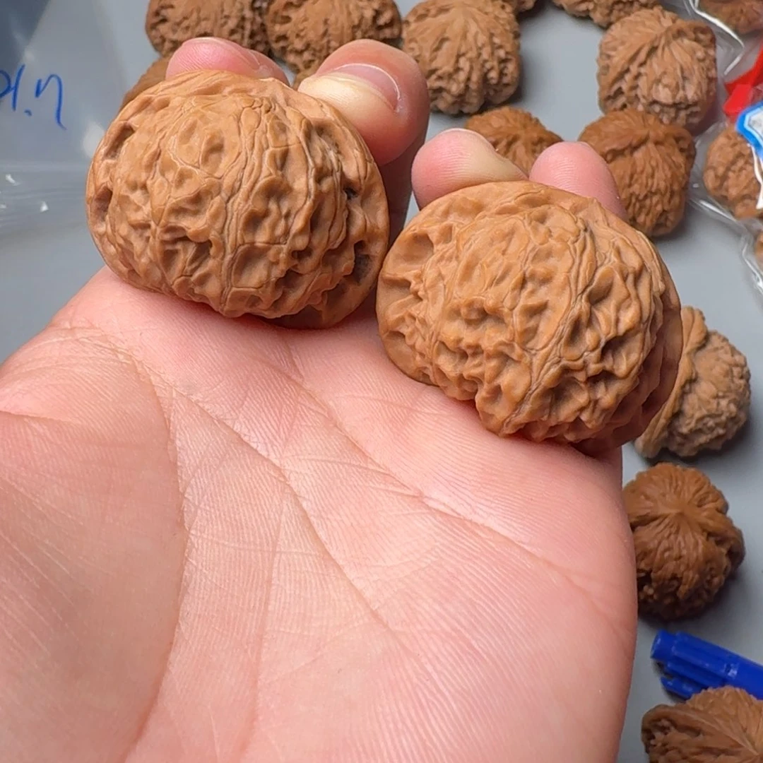 全品40宫灯123456789