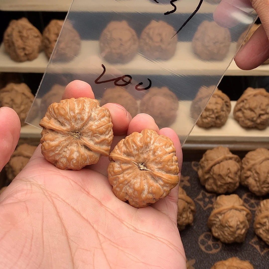 ***ㅤ核桃蛤蟆头36尺37肚