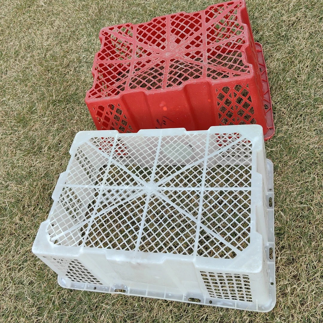 新店  出壳塑料筐镂空长方形白色黑色配色大大号5个装