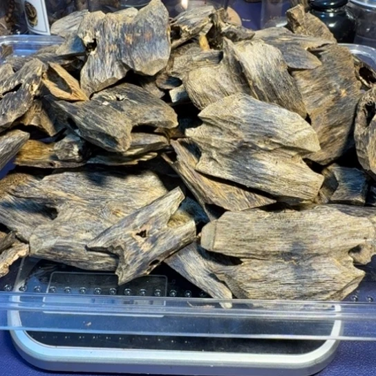 木原材料棋楠多样性发一