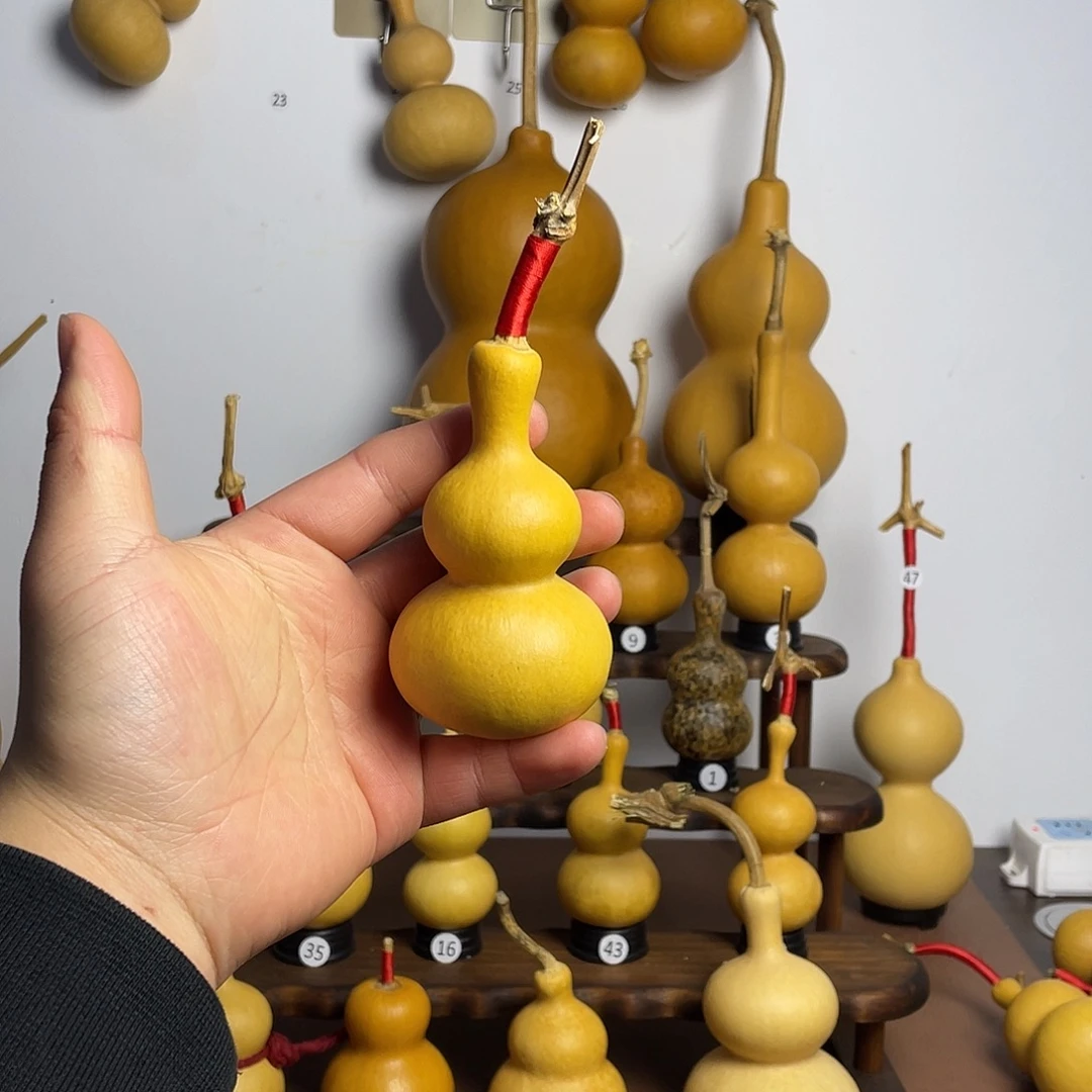 葫芦葫芦葫芦葫芦