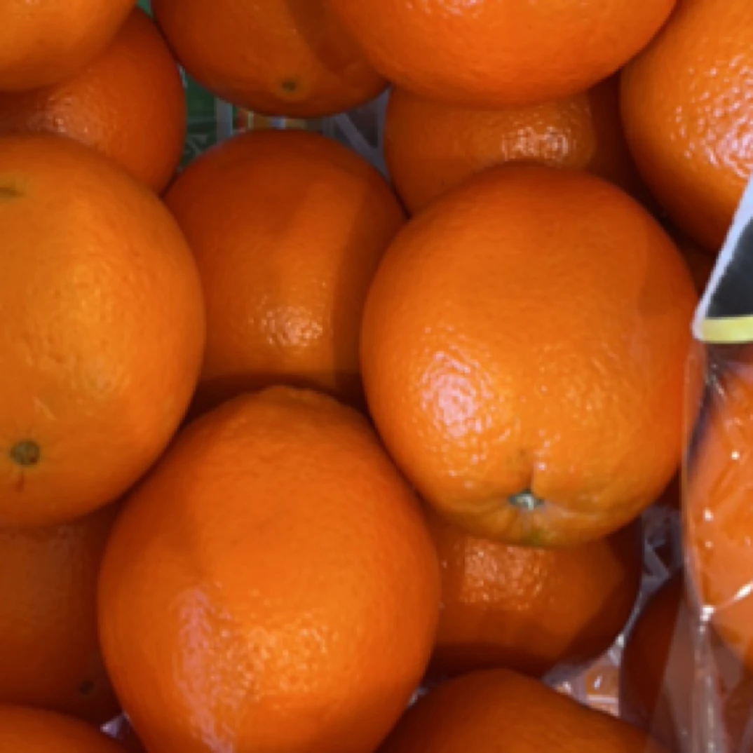 每日多橙子 3斤