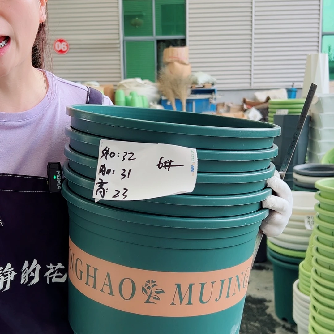 矮胖加仑6#墨绿5个无托