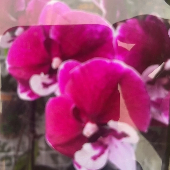 超群2040微瑕疵2.8