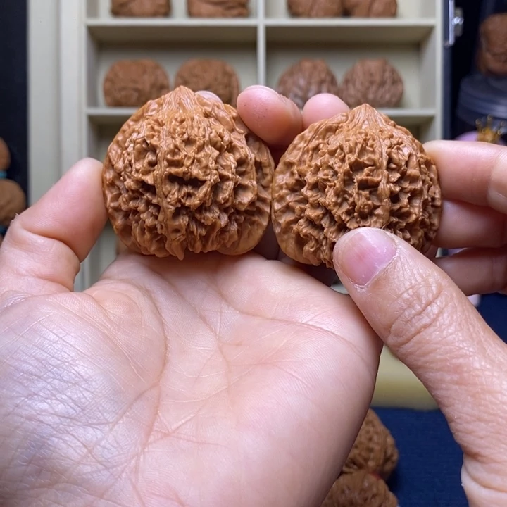 核桃46满天星狮子头