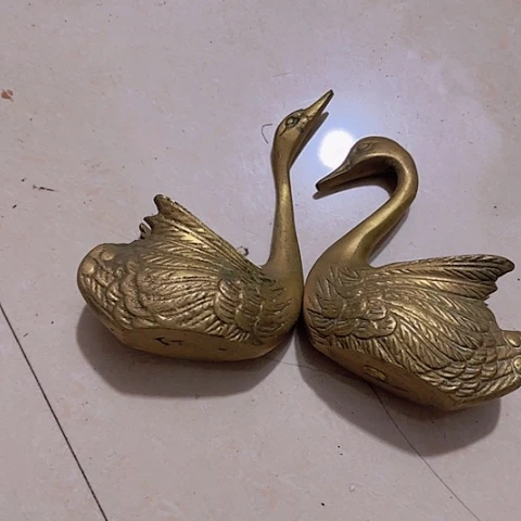 香榧木无*Ggfhgghghvvhvvv