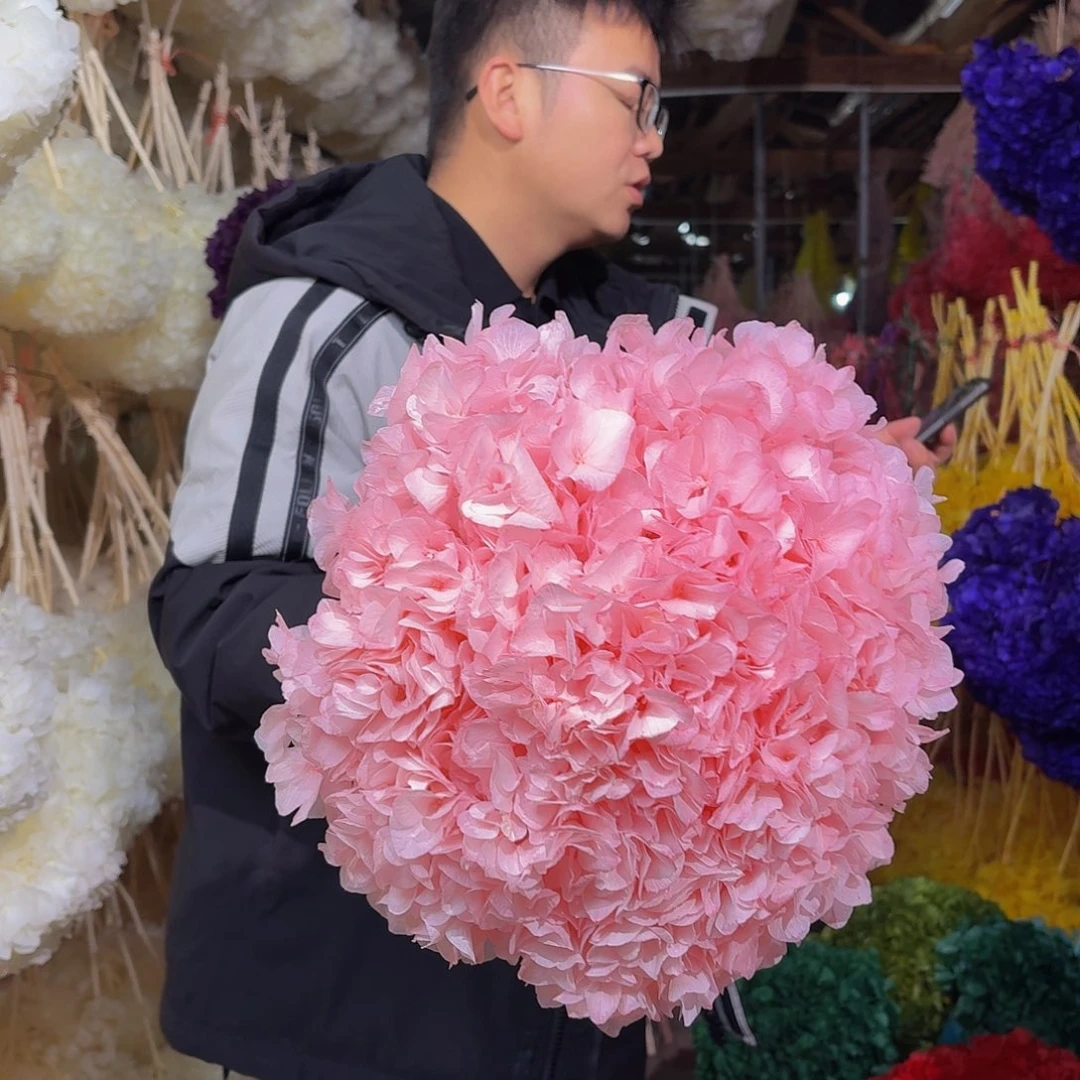 永生大叶绣球1枝 樱花粉