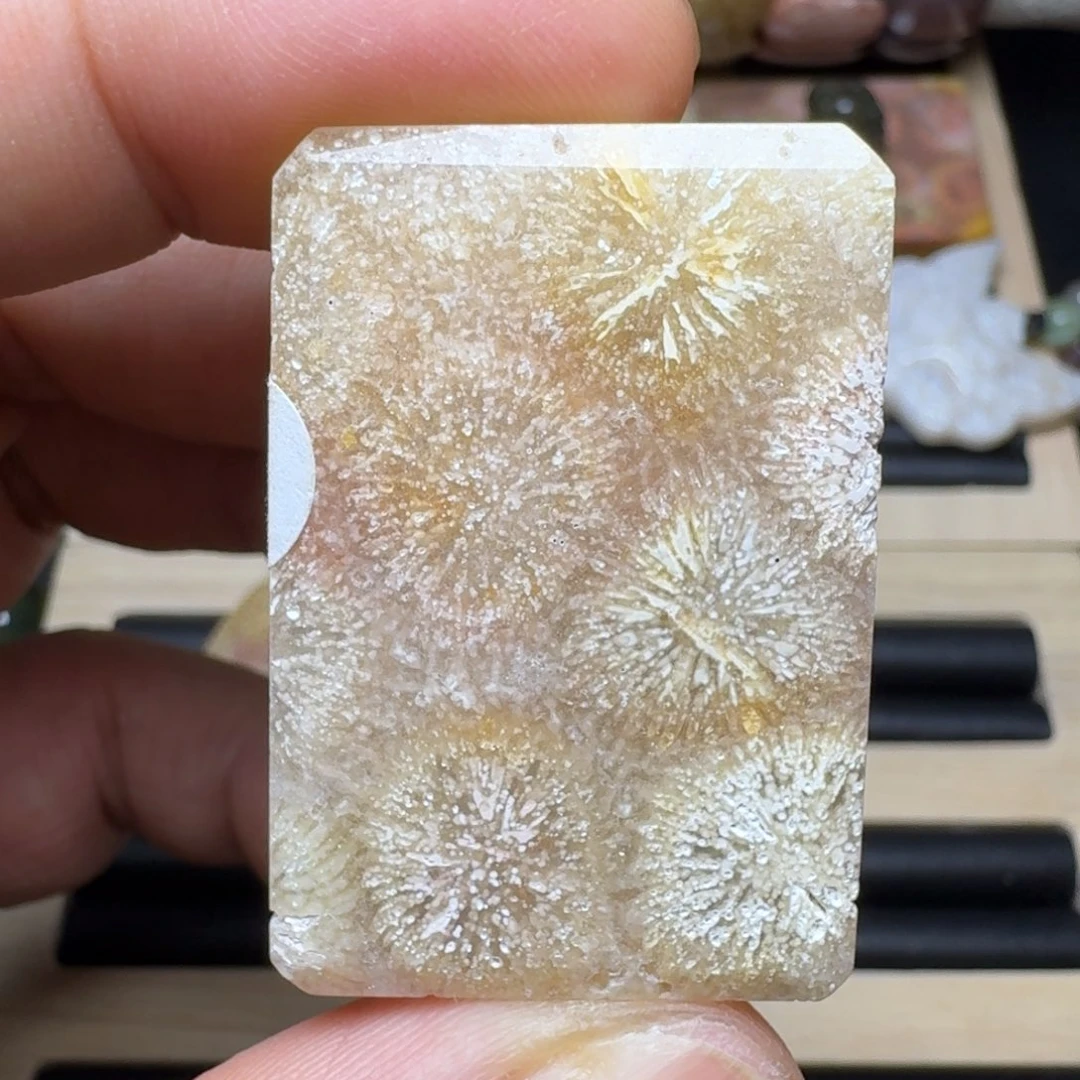 未镶嵌纯天然色有机玉石保真色硅化玉