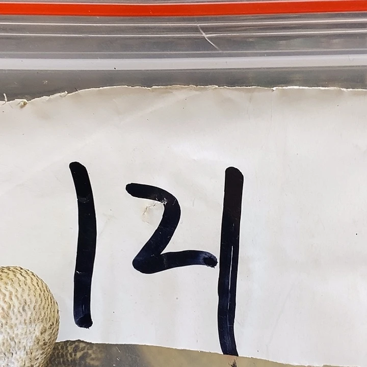 用***6最美古村专属链接