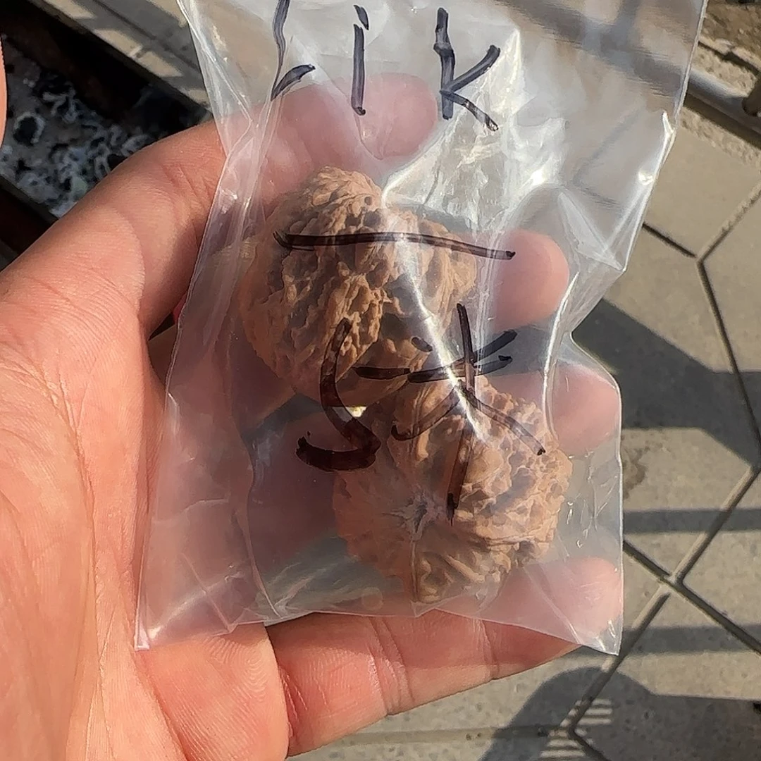 L**-我们的生活也是如此的丰富