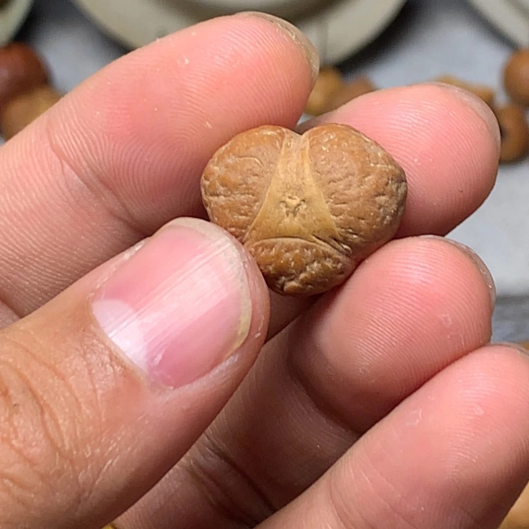 凤眼菩提吊坠M****c龙眼一个