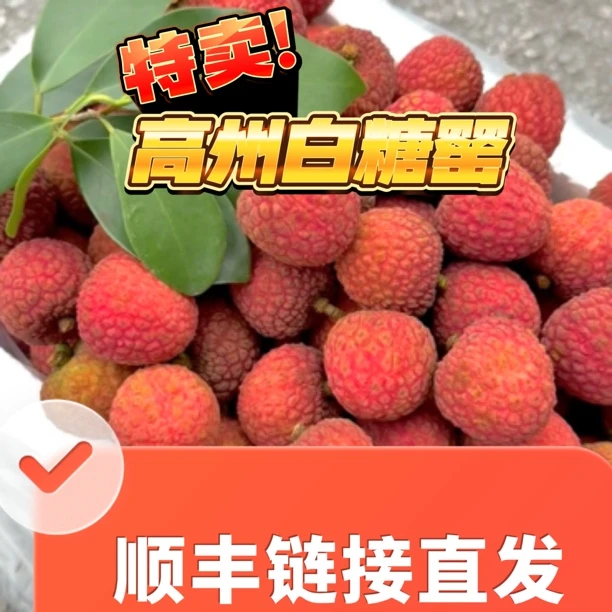 高州白糖罂 20年老树 果园现摘直发 果肉饱满 清甜爽口 京东空运