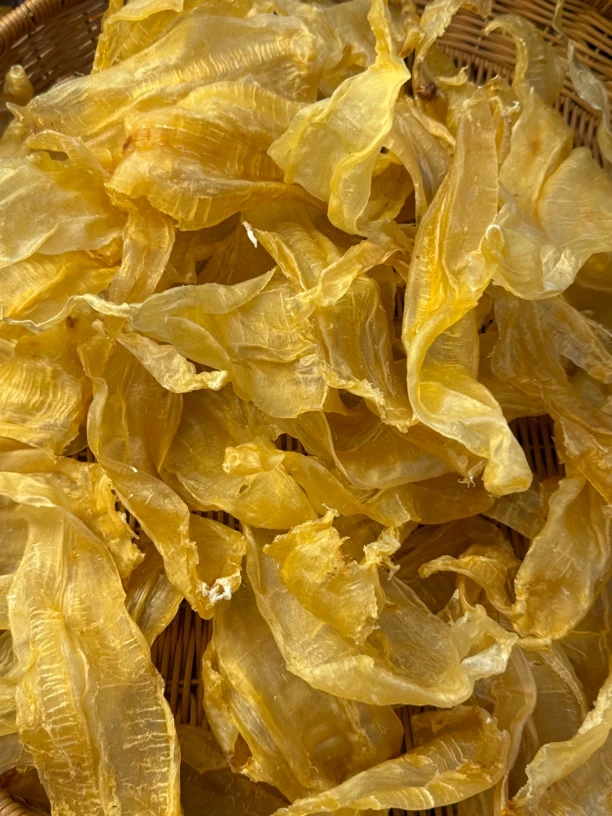 广东三念公鱼胶1-500g