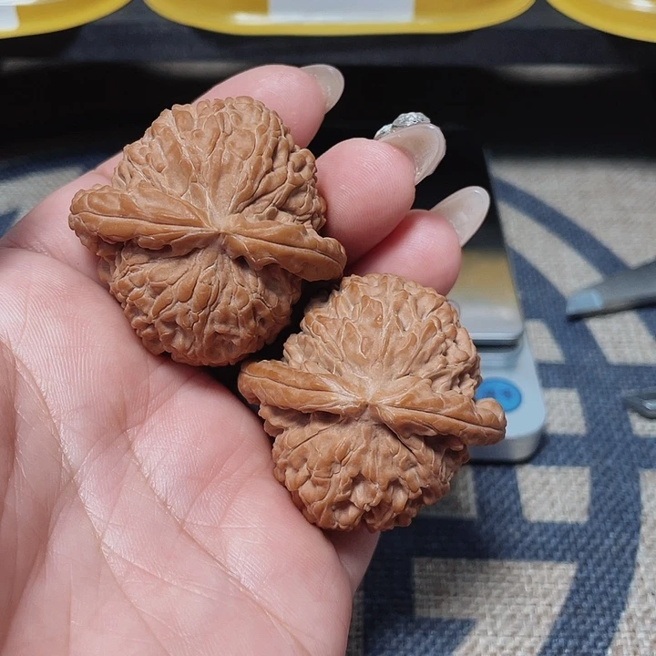 文玩核桃把件S****n白狮子400