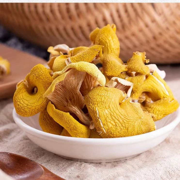 云南山货鸡油菌菇干货特产新鲜可煲汤