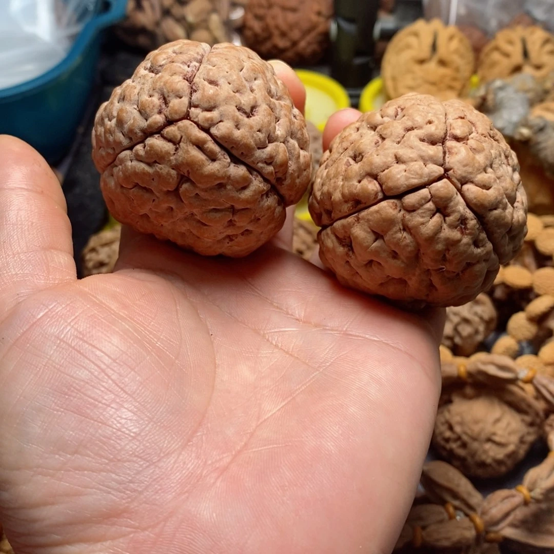 文玩核桃吊坠我**豆核桃63