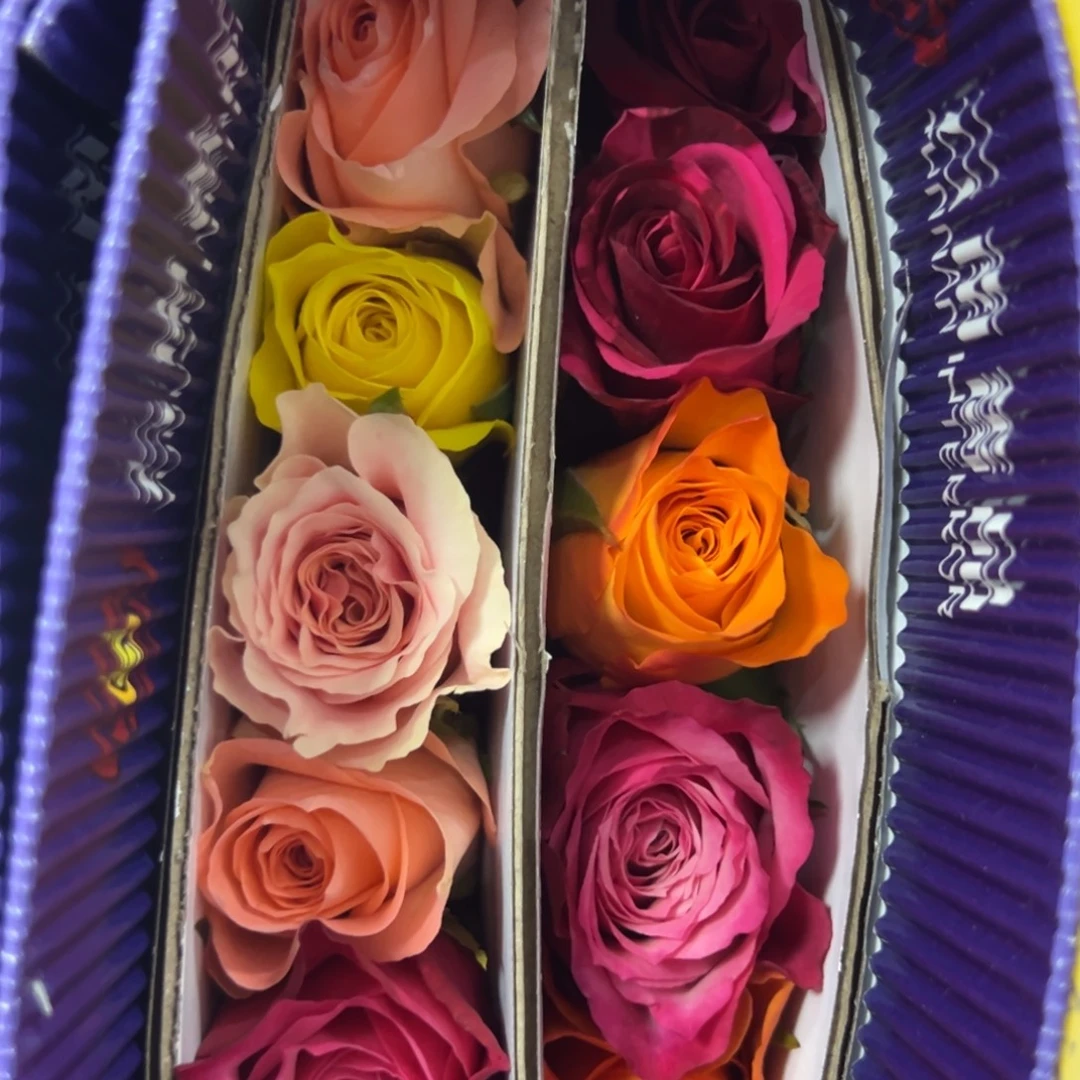 蔷品 混单 10支装 拍满三单包邮