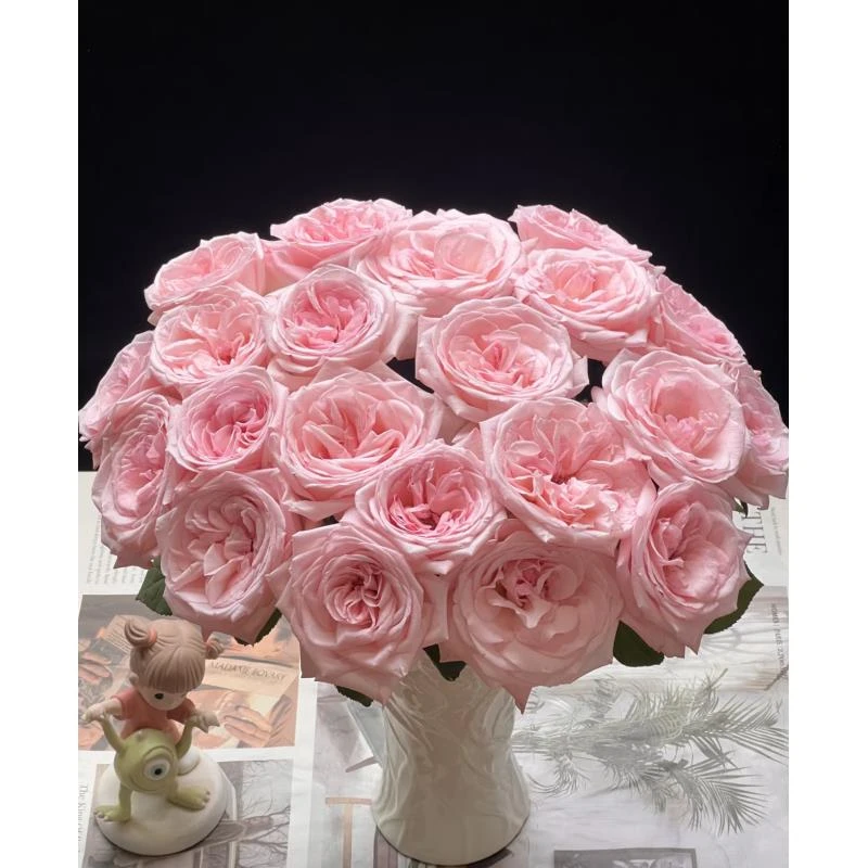 （小朱推荐）粉荔枝玫瑰10支 云南基地直发