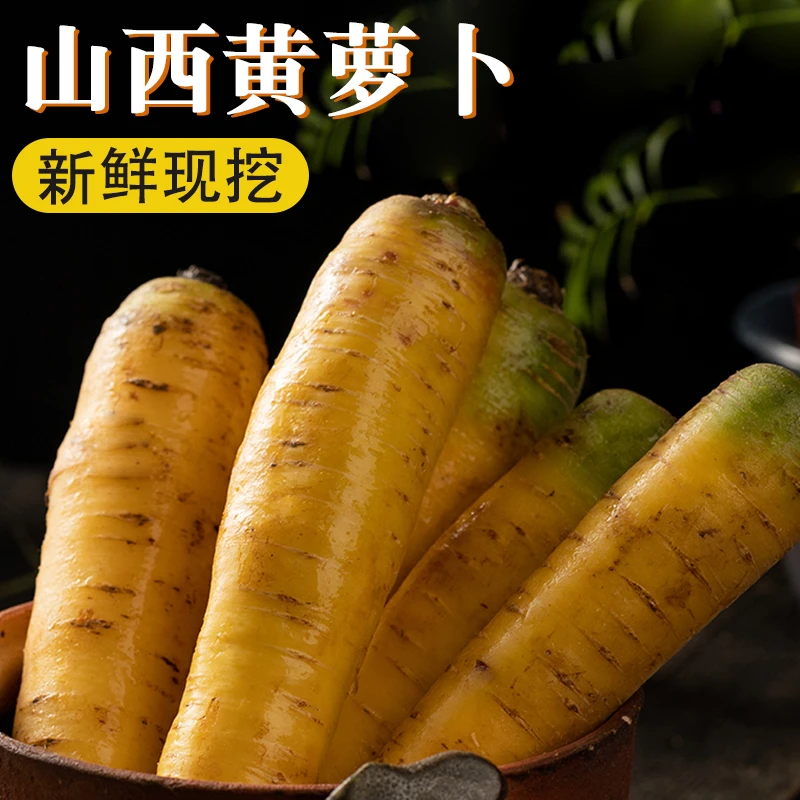 山西黄胡萝卜新鲜蔬菜水果萝卜带泥可用于手抓饭多种烹饪产地直发