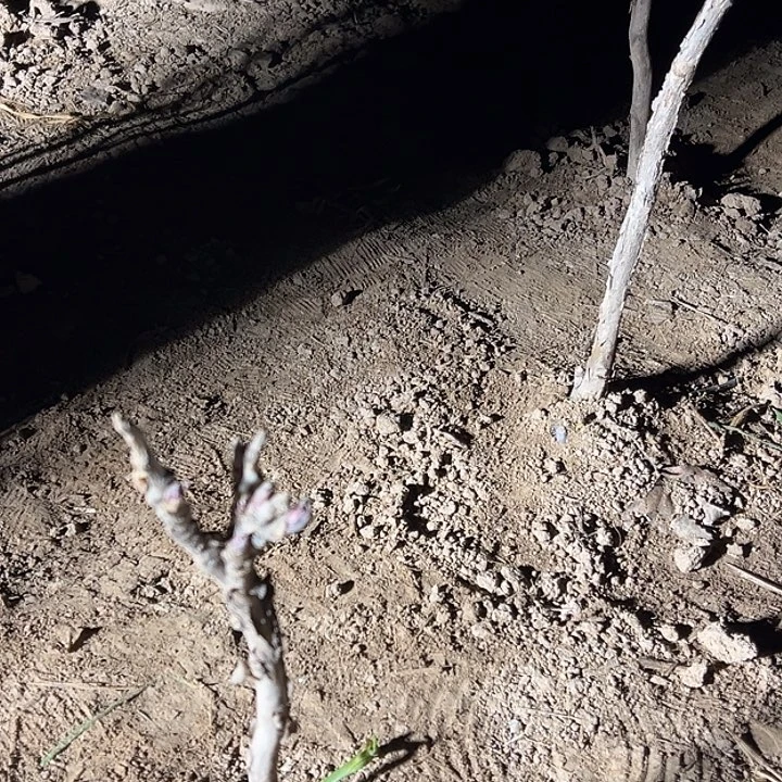 用***6完全开放岛锦中颗