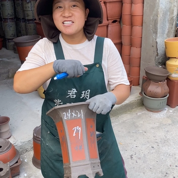 紫砂花盆盆栽花卉苗木种植