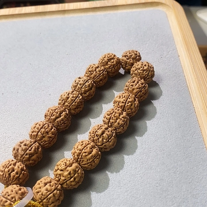 手串金刚菩提八龙16.4