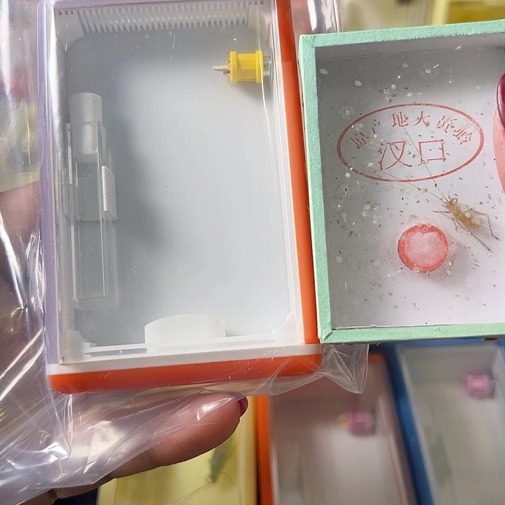 用***3蟋蟀哈哈哈哈哈哈哈哈哈哈哈