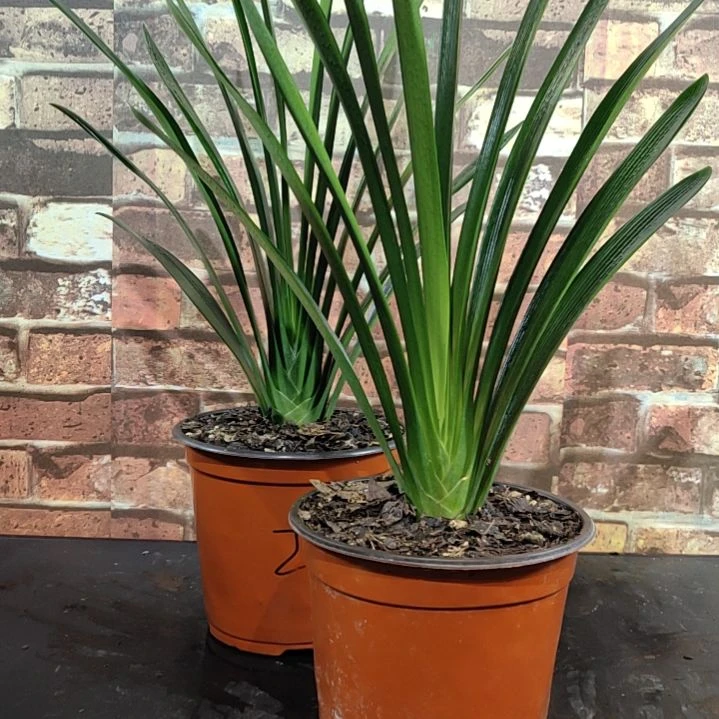 完全开放1111111111