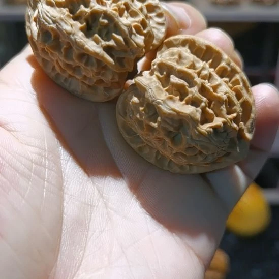 吊坠桃核38邢台老树苹果园不打药