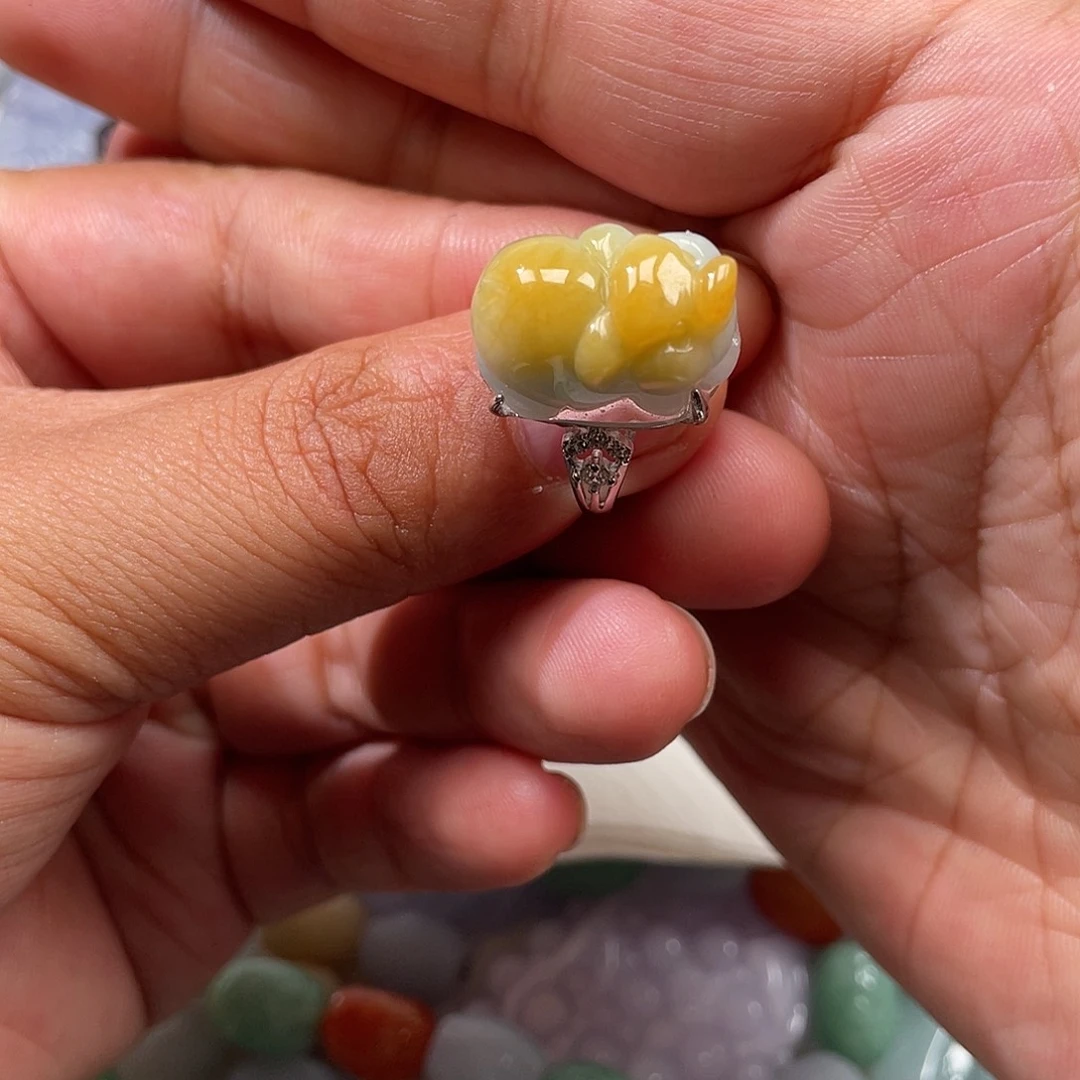 颈饰未镶嵌翡翠翡玉缘翡翠