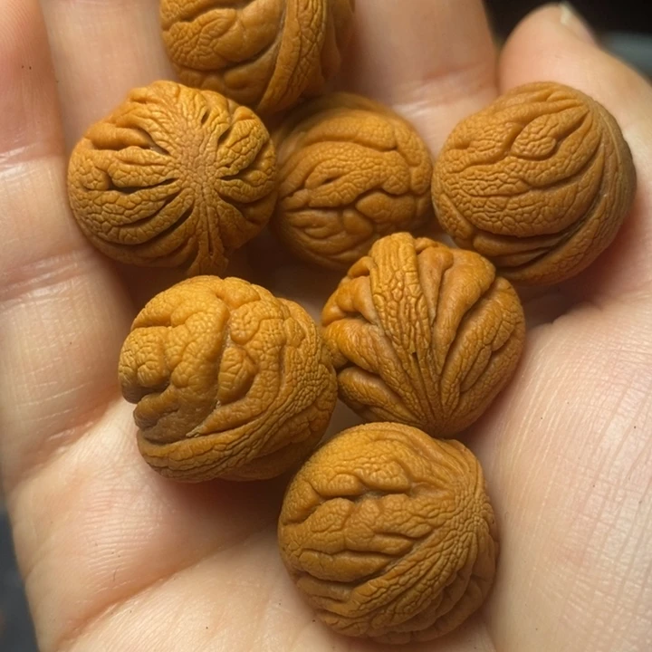 桃核吊坠秦岭山野生桃核