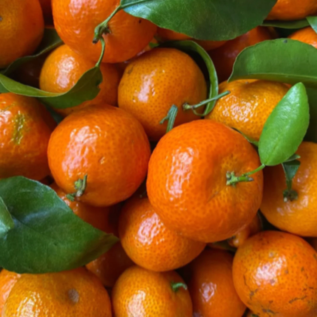 广西砂糖橘足3斤