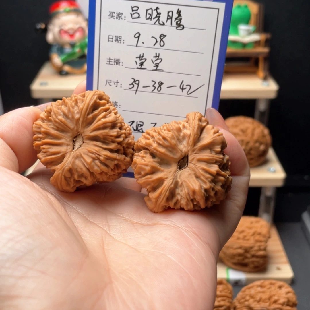 【闪购商品】核桃吕*腾