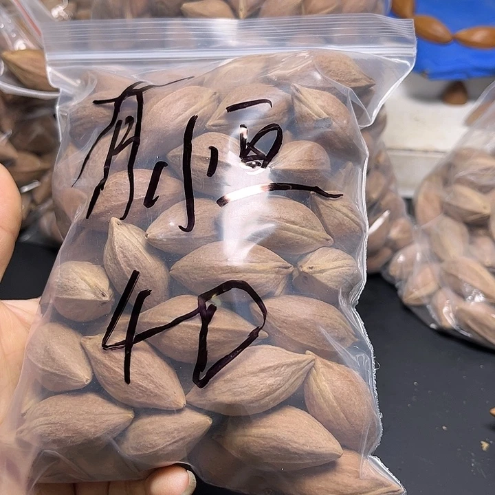 有***恒手串/手链橄榄核111