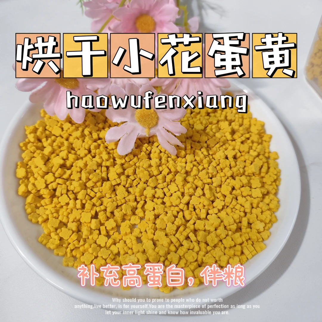冻干小花蛋黄伴粮美毛软磷脂蛋黄猫狗通用粮烘干营养零食健康幼猫