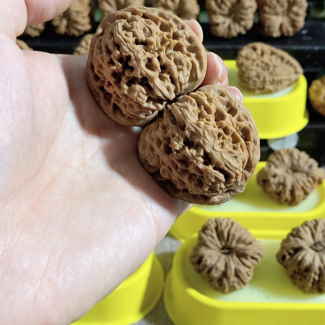木质类今天是不是又